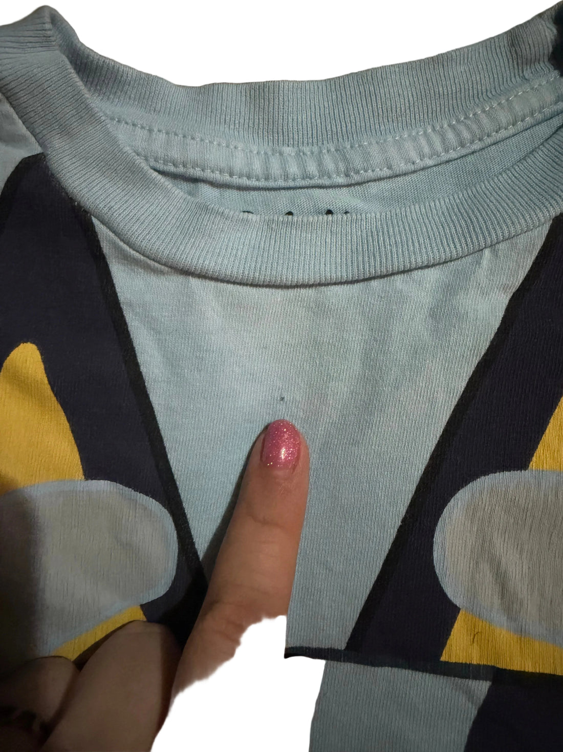 Bluey Shirt / 5T