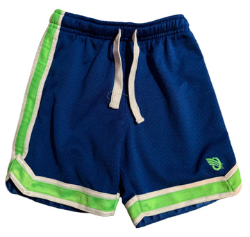 Blue shorts with green and white trim 