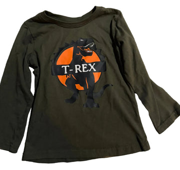 GREEN SHIRT WITH T-REX