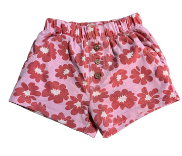 Jessica Simpson Shorts / 2T
