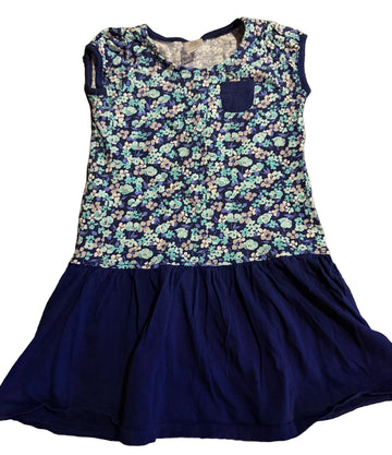 Gymboree Dress / 5T