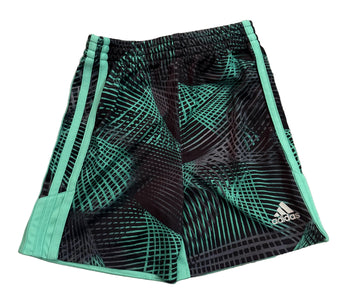 Adidas Shorts / 2T